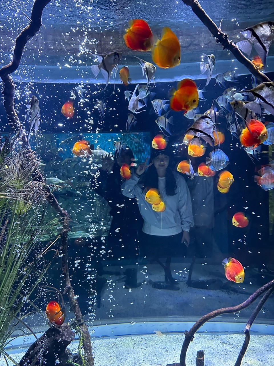 d749738aa0aa132267282d5ddd20c772_1757640729_4329.jpg